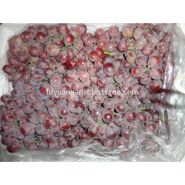 The best quality fresh red grape